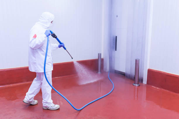 Best Sidewalk and Walkway Cleaning  in Utica, NE